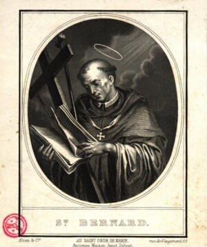 St. Bernard.