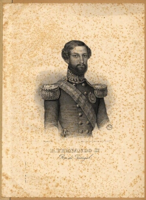 D. Fernando II, Rei de Portugal