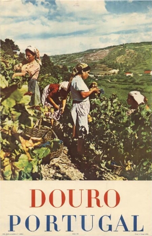 Douro - Portugal