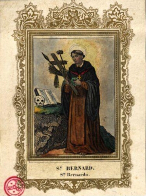 St. Bernard. = Sn. Bernardo