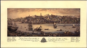 Vista da Cidade do Porto, desde a Torre da Marca athe as Fontainhas...
