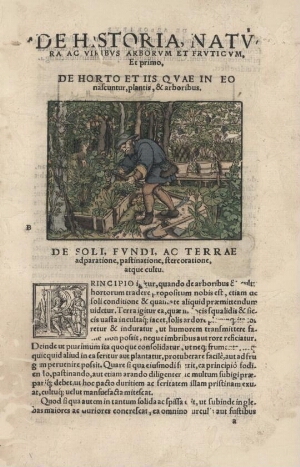 Naturalis historiae opus novum. In quo tractatur de natura, et viribus arborum, fruticum, herbarum, ...