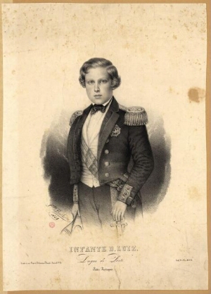 Infante D. Luiz, Duque do Porto