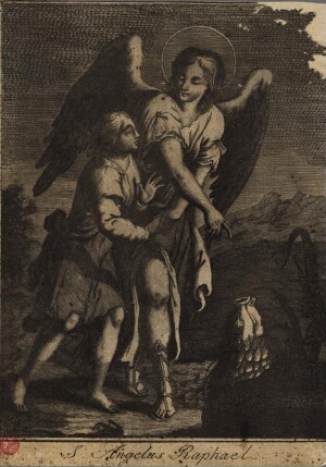 S. Angelus Raphael