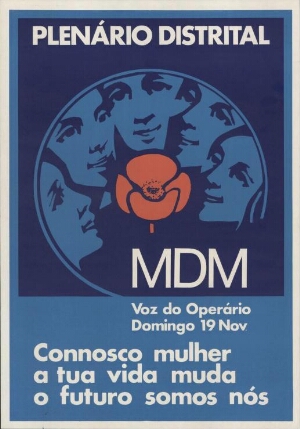 Plenário distrital - MDM