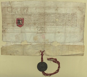 [Carta de mercê de nobreza e armas a Gonçallo Pirez, escudeiro, de apelido Bandeira, concedida por D...