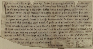 [Carta de aforamento do Rei D. Afonso Henriques com seus filhos D. Sancho e D. Teresa]