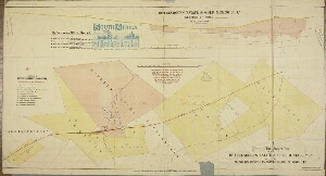 Plan of the properties of the Buffelsdoorn Estate & Gold Mining Cº L d and of the Western Districts ...
