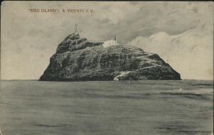 "Bird island" - S. Vicente C. V.