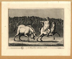 A brazillian attacking a bull
