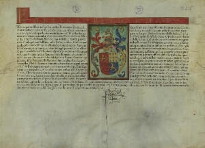 [Carta de brasão de armas, passada pelo Rei de Armas de Filipe I, Rei de Portugal, em nome de Heitor...