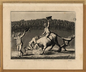 Pedestrians attacking a bull